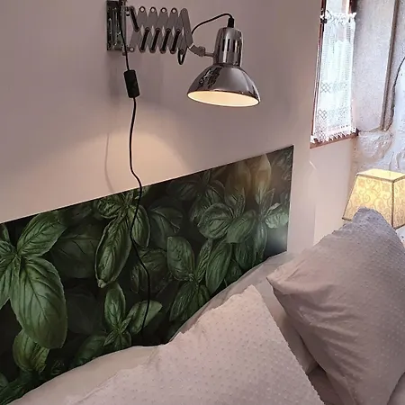 Palace Basilico 1580. 3*