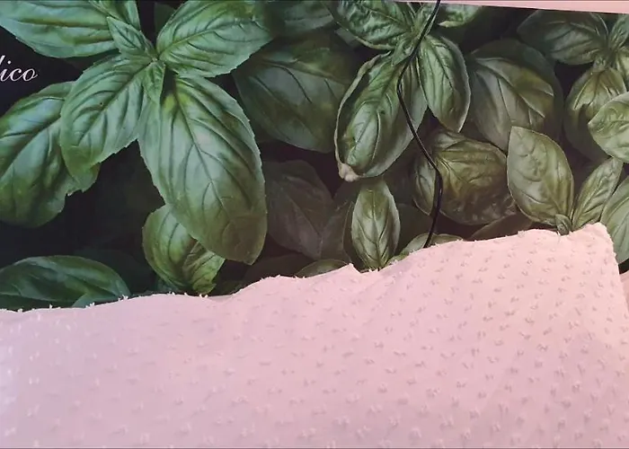 Bed & Breakfast Palace Basilico 1580. 3*